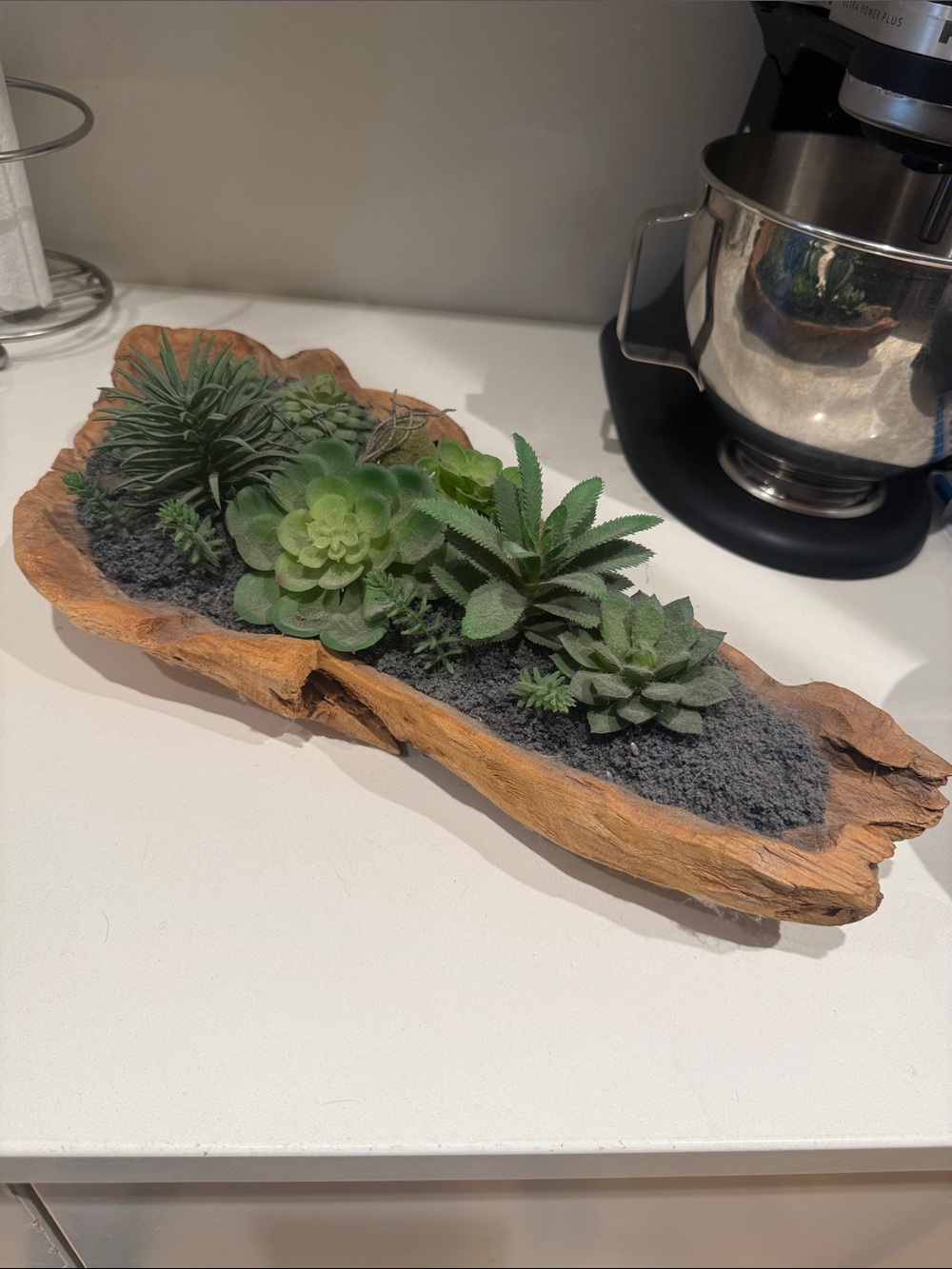 Artificial Succulent Arrangement in Driftwood Planter - Green